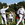 Kampsport i Mindeparken