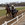 JVB - Galop kval.